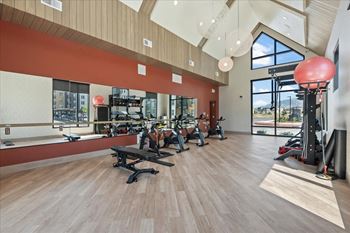 Gym with variety of equipment's and free weights